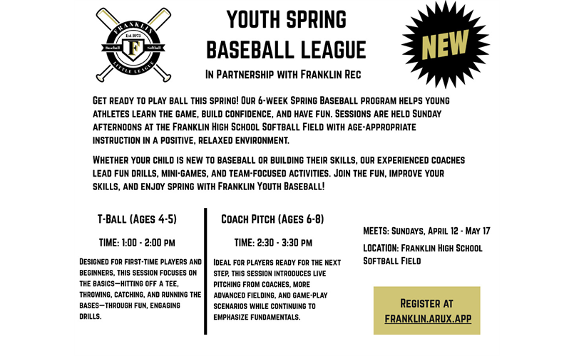Youth Spring Baseball League